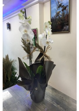 2 Dal Beyaz Orkide Modeli